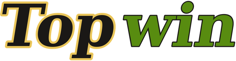 Topwin logo